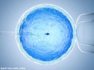 关于清砚堂中医馆